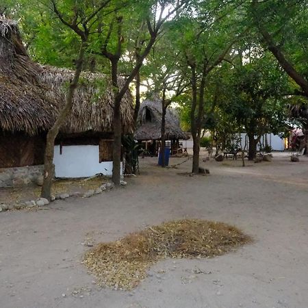 Auroa Palomino Hotel Exterior photo