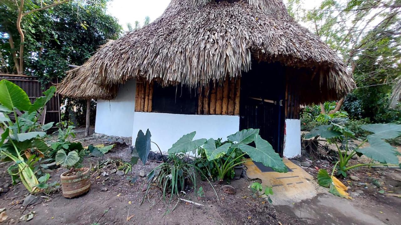 Auroa Palomino Hotel Exterior photo