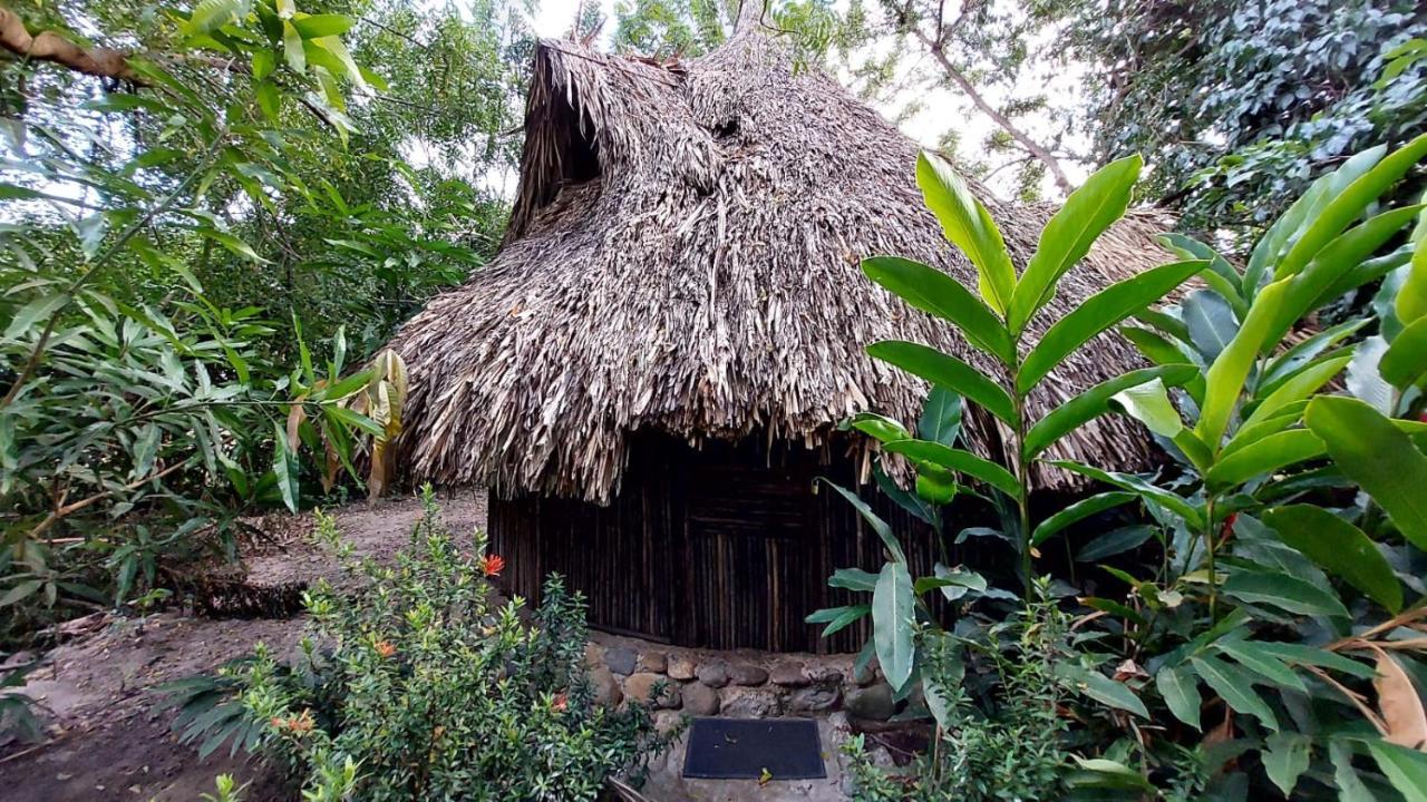 Auroa Palomino Hotel Exterior photo