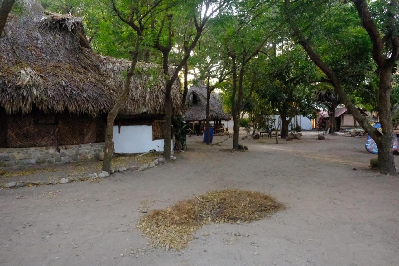 Auroa Palomino Hotel Exterior photo