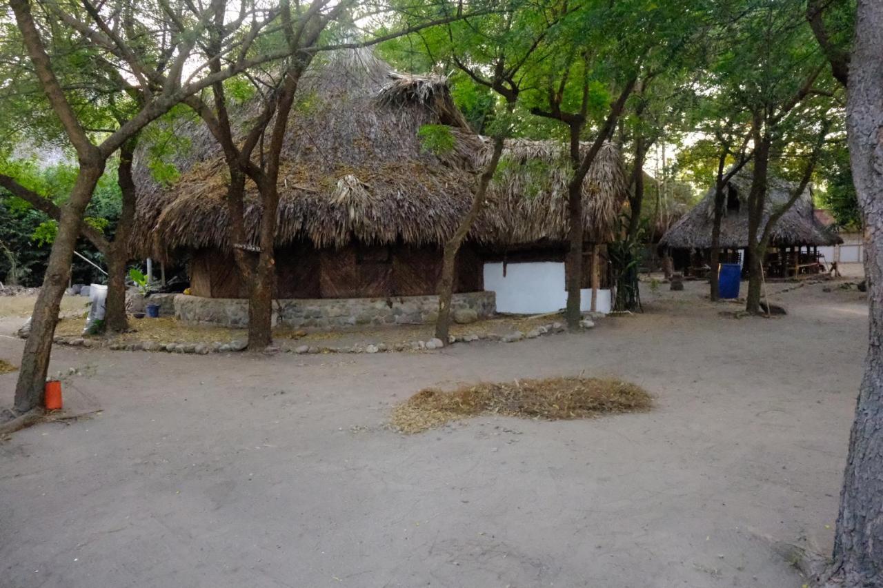 Auroa Palomino Hotel Exterior photo