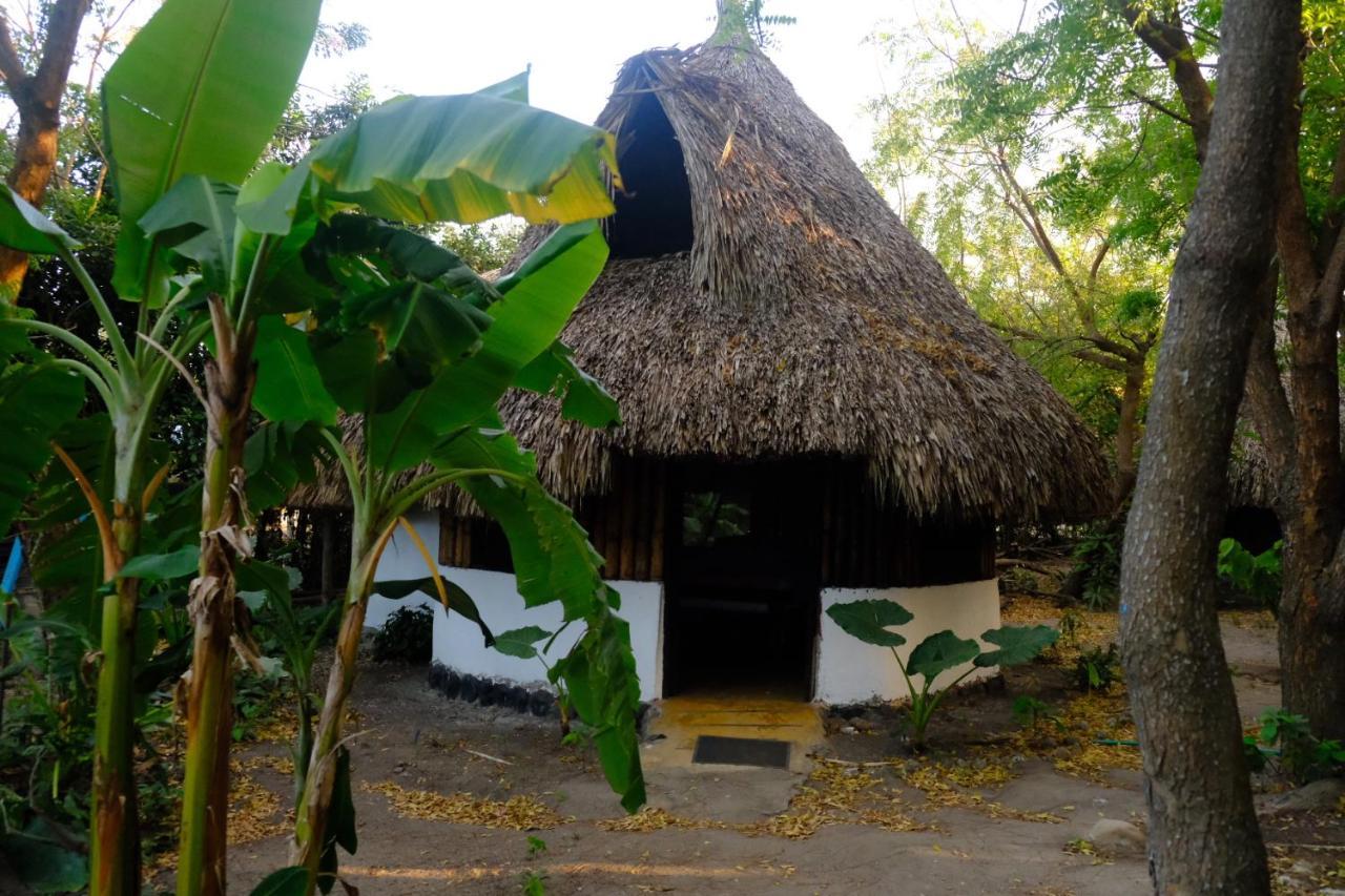 Auroa Palomino Hotel Exterior photo