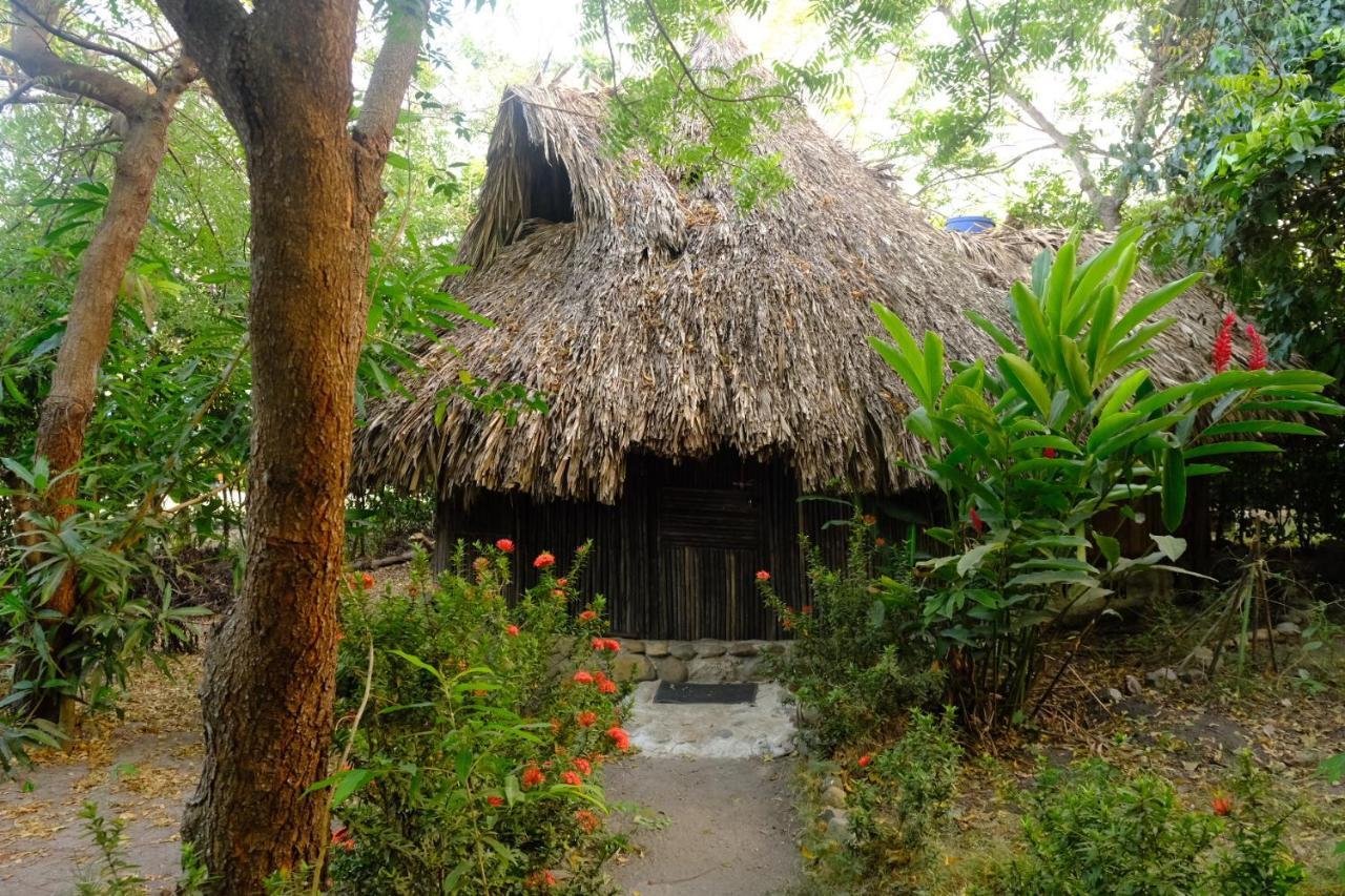 Auroa Palomino Hotel Exterior photo